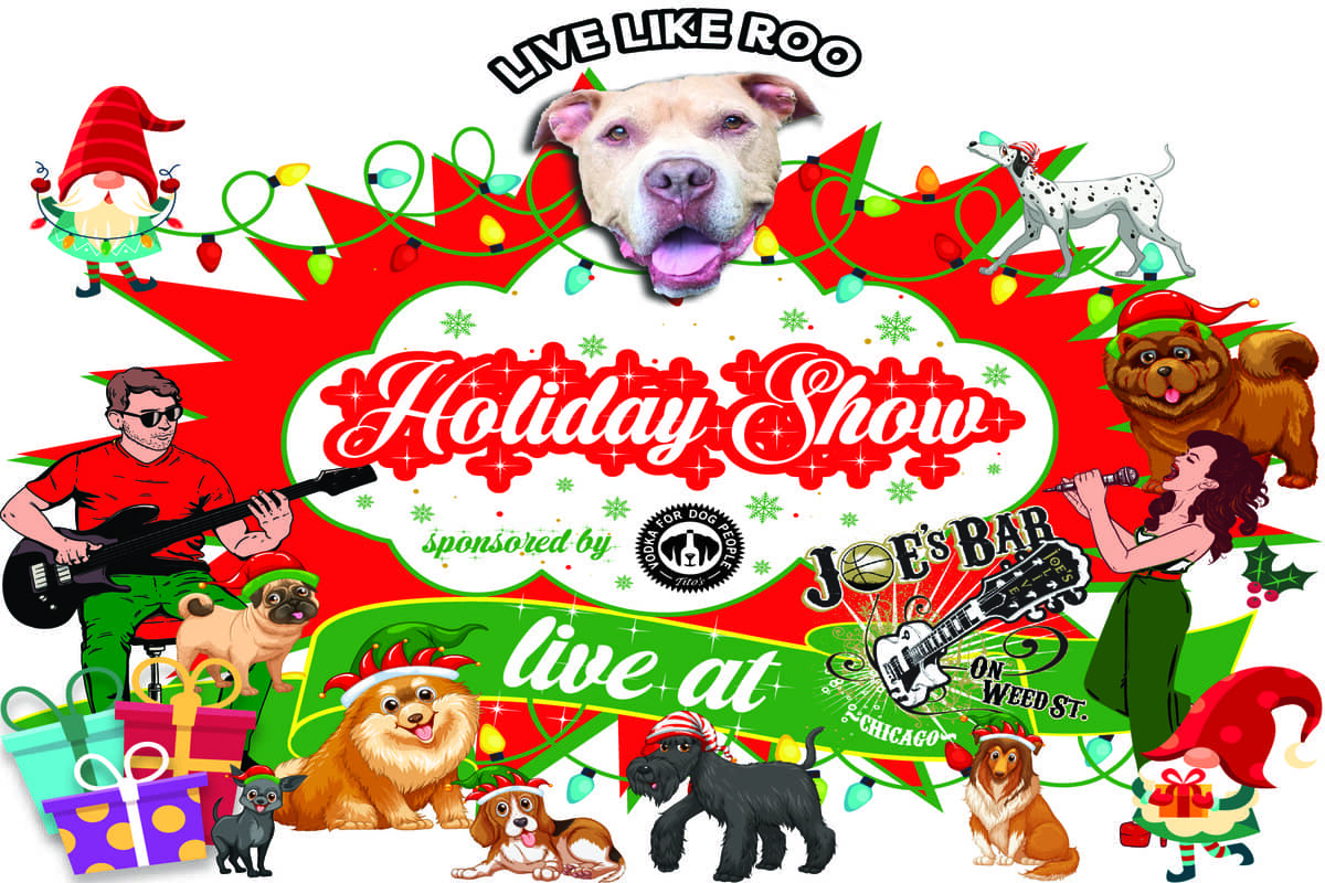Poster for Live Like Roo Holiday Show and Fundraiser on Decmeber 14, 2023 at Joe's on Weed St.
